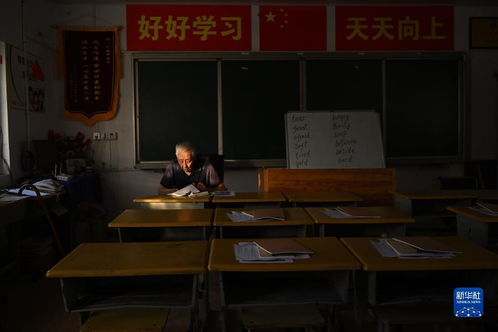 博一把白菜大全